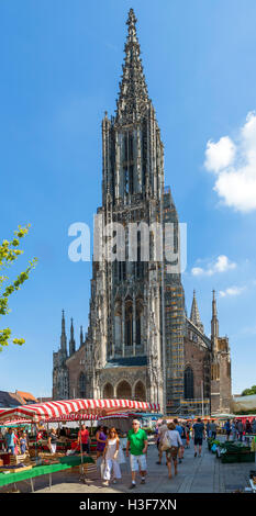 Markt vor dem Münster, Münsterplatz, Ulm, Baden-Württemberg, Deutschland Stockfoto