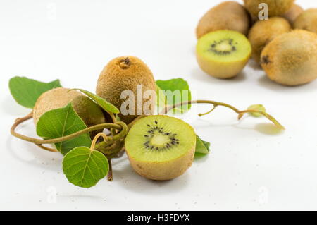 Frisch gepflückten Kiwi mit Ast und Blättern auf weißem Hintergrund Stockfoto