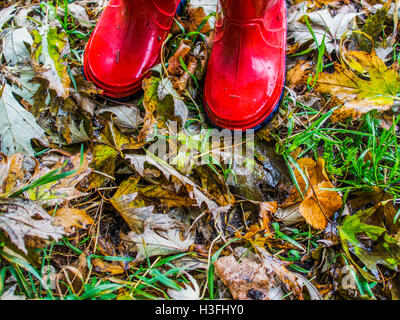 Kid im roten Gummistiefel auf den abgefallenen Blättern Stockfoto