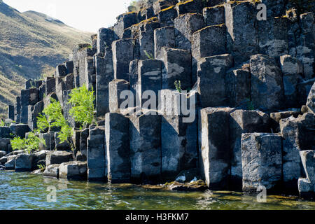 Säulenförmigen Basalt entlang der unteren Salmon River in West-Zentral-Idaho Stockfoto