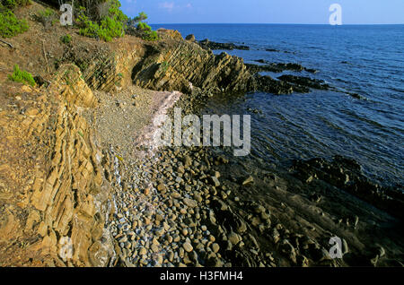 Felsige Küste zwischen Punta Licosa, Cilento-Vallo di Diano, Ogliastro Marina und Alburni Nat.Park, Salerno, Kampanien, Italien Stockfoto