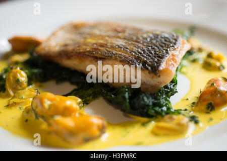 Nahaufnahme von gekochten Fischfilet auf Blattspinat und gelbe Muschel-sauce Stockfoto