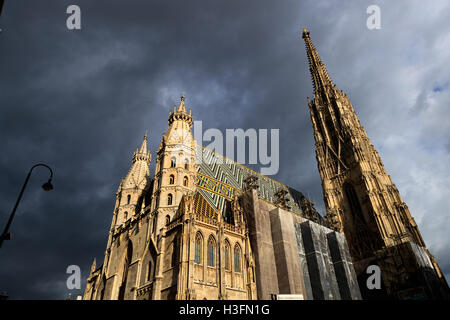 St.-Stephans Cathedra in Wien, Österreich. Stockfoto