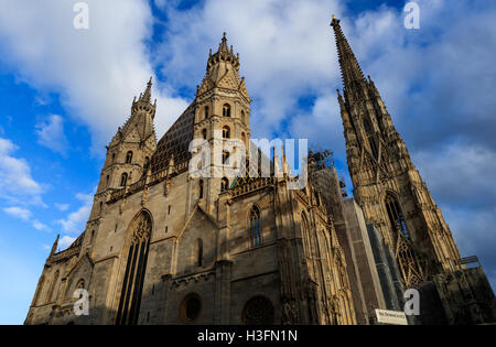 St.-Stephans Cathedra in Wien, Österreich. Stockfoto