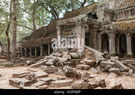Angkor Archäologische Park, Ta Prohm Tempel-Ruinen, Siem Reap, Kambodscha. Stockfoto