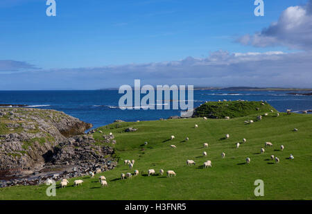 Alten Shepards Haus, Green Bay, Tiree, Inneren Hebriden, Argyll und Bute, Scotland Stockfoto