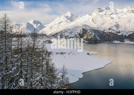 Winterlandschaft, Sils-See, Sils Maria, Engadin, Schweiz Stockfoto