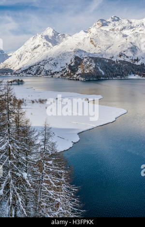 Winterlandschaft, Sils-See, Sils Maria, Engadin, Schweiz Stockfoto