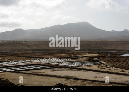 Ajache Grande - hacha Grande Playa Blanca Lanzarote Stockfoto