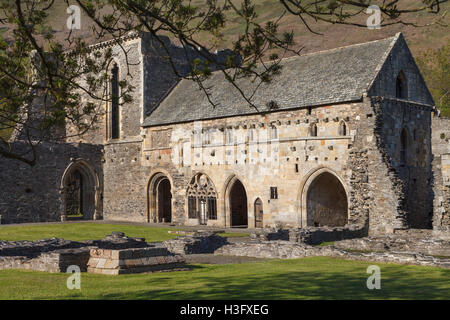 Valle Crucis Abbey, Llantysilio, in der Nähe von Llangollen, Denbishire, Wales Stockfoto