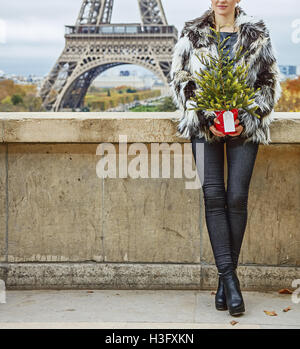 Die Party Saison in Paris. Closeup auf trendige Mode-Monger mit Weihnachtsbaum im Pelzmantel gegen Eiffelturm in Paris, Frankreich Blick in die Ferne Stockfoto