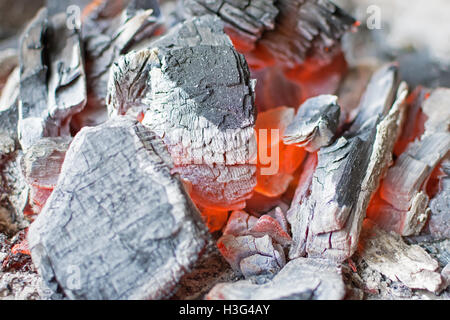 Brennende Holzkohle hautnah. Heiße, glühende Holzkohlebriketts. Stockfoto