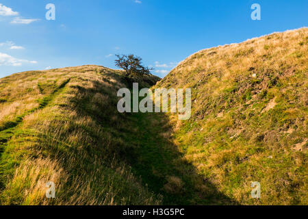 Herbstsonne auf Caer Caradoc Eisenzeit Wallburg in der Nähe von Kapelle Rasen, Clun, Shropshire, England, UK. Stockfoto