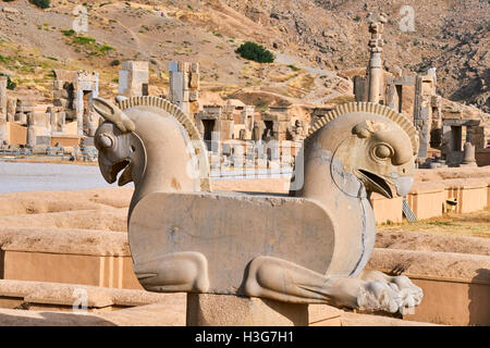 Iran, Provinz Fars, Persepolis, Weltkulturerbe der UNESCO, Raubvogel Stockfoto