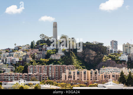 Coit Tower auf dem Telegraph Hill Stockfoto