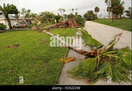 Cocoa Beach, Vereinigte Staaten von Amerika. 7. Oktober 2016. 7. Oktober 2016 - Cocoa Beach, Florida, USA - entwurzelte Palmen Bäume vor einem Haus in Cocoa Beach, Florida durch Winde vom Hurrikan Matthew am 7. Oktober 2016 zu sehen sind. Matthew ist für 4 Todesfälle in Florida und mehr als achthundert in Haiti getadelt worden. Mehr als 1 Million Menschen haben macht durch den Sturm verloren. Bildnachweis: Paul Hennessy/Alamy Live-Nachrichten Stockfoto