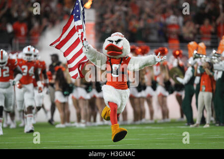 Miami, Florida, USA. 8. Oktober 2016. MONICA HERNDON | Times.Miami Hurrikane Maskottchen führt Sebastian an das Team auf dem Feld vor dem Spiel gegen die Florida State Seminolen auf Samstag, 8. Oktober 2016 im Hard Rock Stadium in Miami Gardens. © Monica Herndon/Tampa Bay Times / ZUMA Draht/Alamy Live News Stockfoto