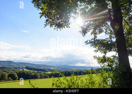 Maria-Balk: Ansicht im Wienerwald, Wienerwald, Wienerwald, Niederösterreich, Niederösterreich, Österreich Stockfoto