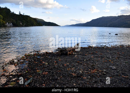 Loch Ness Ufer in Fort Augustus in Schottisches Hochland Stockfoto