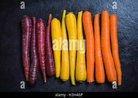 Regenbogen-Karotten von oben auf dunklen Schiefer Stockfoto