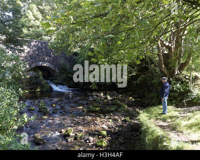 Duntochre brennen vor Ort als die Römische Brücke in der Nähe von Clydebank außerhalb von Glasgow Grenze bekannt. Stockfoto