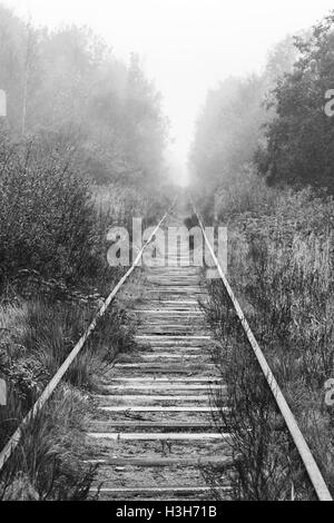 Leere Bahn durchläuft nebligen Wald Morgen, vertikale schwarz / weiß Foto Stockfoto