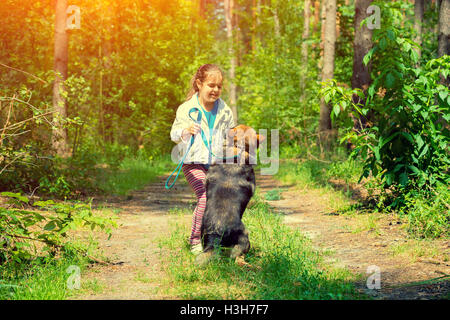 Kleine Mädchen spielen mit Hund im Wald an sonnigen Tagen. Hund steht auf den Hinterbeinen Stockfoto