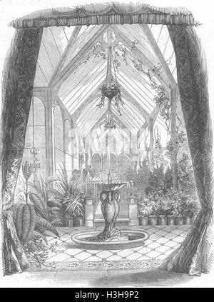 ISLE OF WIGHT Konservatorium, St. Clare 1862. Illustrierte London News Stockfoto