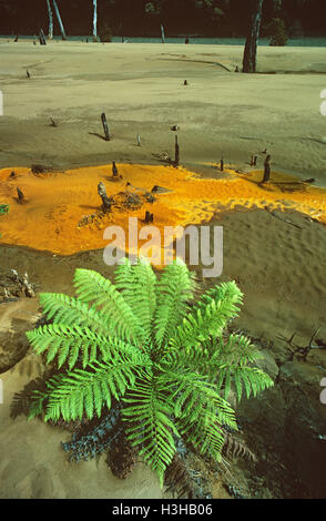 Bergbau Verschmutzung: Stockfoto