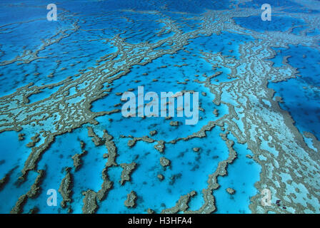 Hardy Reef Korallen-Formationen, Stockfoto