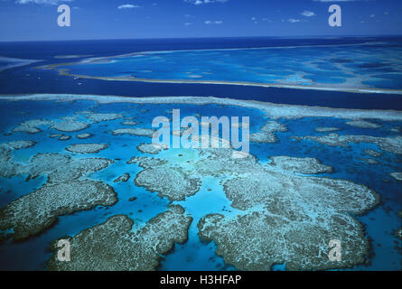 Hardy Reef Stockfoto