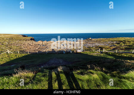 Ansicht von oben das Grab der Adler eine neolithische gekammert Cairn auf South Ronaldsay, Orkney, Schottland, UK Stockfoto