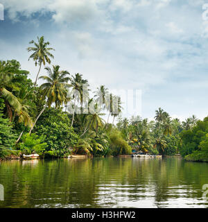 Der äquatorialen Wald und Boote auf dem See Stockfoto