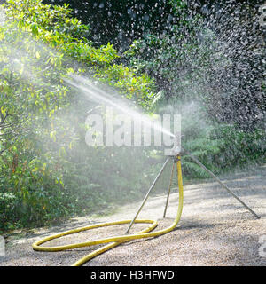 Sprinkler, die Bewässerung der Pflanzen im park Stockfoto