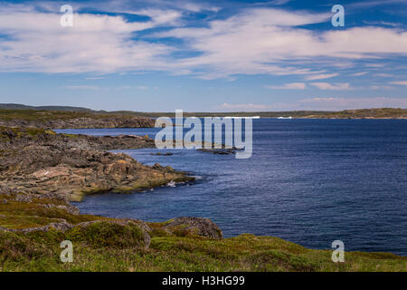Die felsige Küste in der Nähe von St. Anthony, Neufundland und Labrador, Kanada. Stockfoto