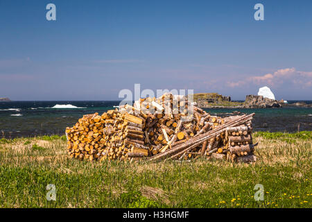 Ein Holzstapel und Eisberg in der Nähe von St. Anthony, Neufundland und Labrador, Kanada. Stockfoto