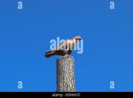 Figur eines Falken auf eine Stumpf eines Baumes gegen den blauen Himmel. Figuren von Tieren aus Holz gebaut. Holzschnitzerei. Stockfoto