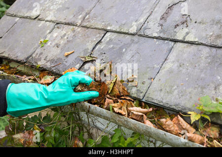 Rinne mit Herbst blockiert löschen lässt Stockfoto