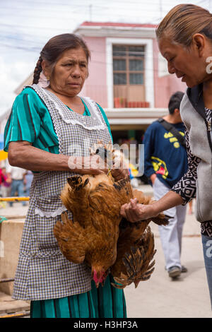 Eine Frau verkauft lebt Hühner auf dem Sonntagsmarkt in Tlacolula de Matamoros, Mexiko. Die regionalen Wochenmarkt zieht Tausende von Verkäufern und Käufern aus ganzen Valles Centrales de Oaxaca. Stockfoto