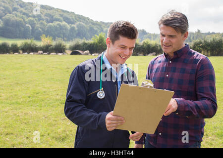 Landwirt und Tierarzt mit Diskussion im Bereich der Schafe Stockfoto