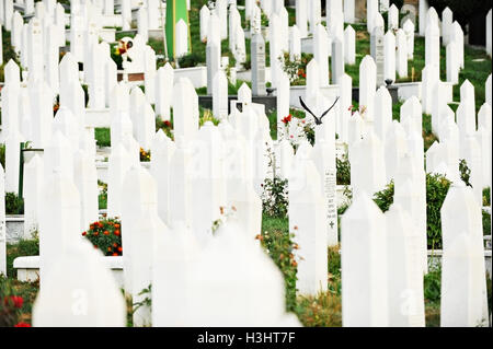 Muslimische Gräber auf dem Friedhof, gewidmet den Opfern der Belagerung von Sarajevo Stockfoto