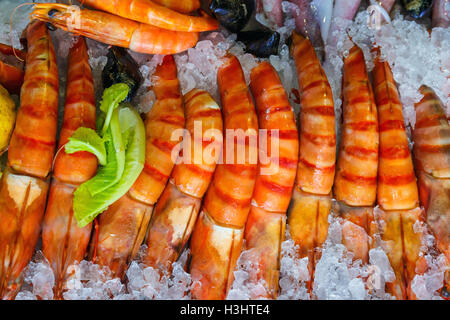 frische Meeresfrüchte im Kühlschrank das Fischrestaurant in Kreta, Griechenland Stockfoto