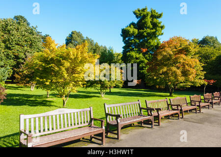 Öffentliche Roath Park im Herbst Stockfoto