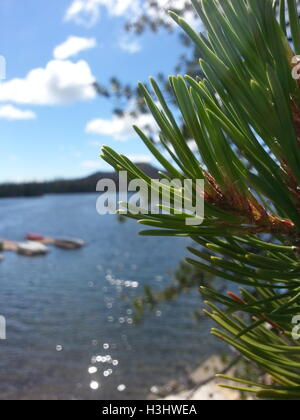 Großen See Youth Camp am Nachmittag, mit der Sonne funkeln aus dem Wasser und beobachten aus der Ferne Kaskaden. Stockfoto