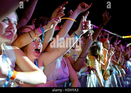 BENICASSIM, Spanien - 17 Juli: Menge in einem Konzert am FIB Festival am 17. Juli 2014 in Benicassim, Spanien. Stockfoto