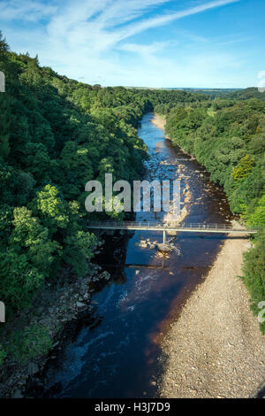 Den South Tyne betrachtet Lambley Viadukt, Northumberland, UK Stockfoto