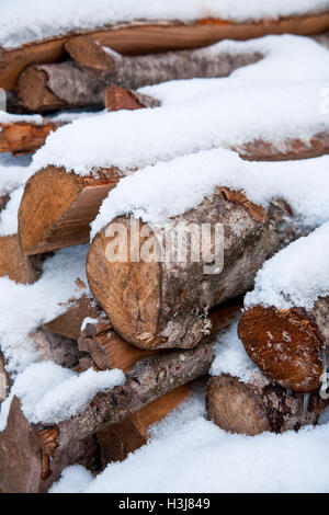 Gruppe von gestapelten Brennholz im Winter mit Schnee an der Spitze. Stockfoto