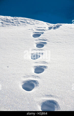 Detail des Fußes druckt auf Schnee im Freien. Stockfoto