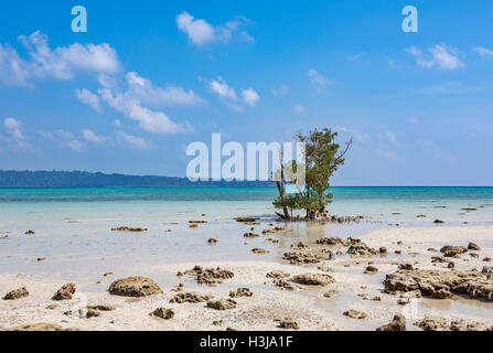 unberührten Küste in Havelock Island, Andamanen, Indien Stockfoto