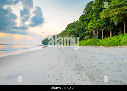 Eine Strecke von Radhanagar Strand in Havelock Island, Andamanen, Indien Stockfoto